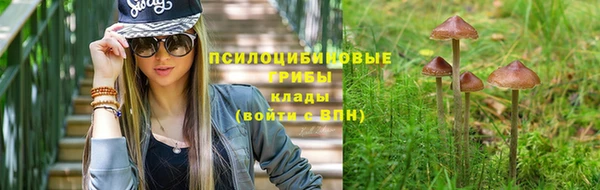 PSILOCYBIN Абдулино